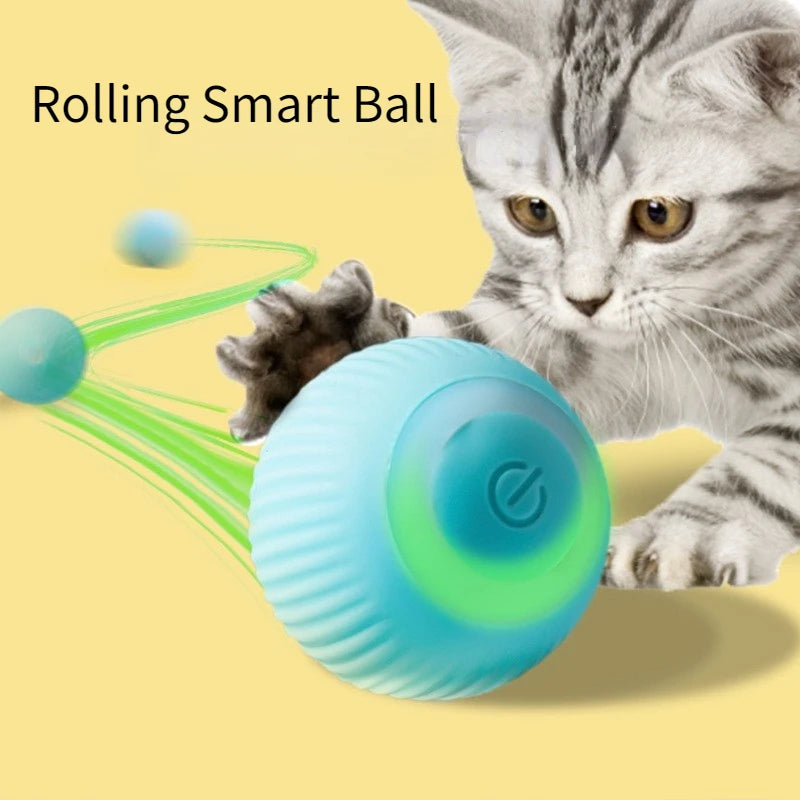 PawZoom/ FetchPro Ball/ TurboToss/ PawSpin/ ZoomPup/ PowerPaw Ball/ ActivePaws