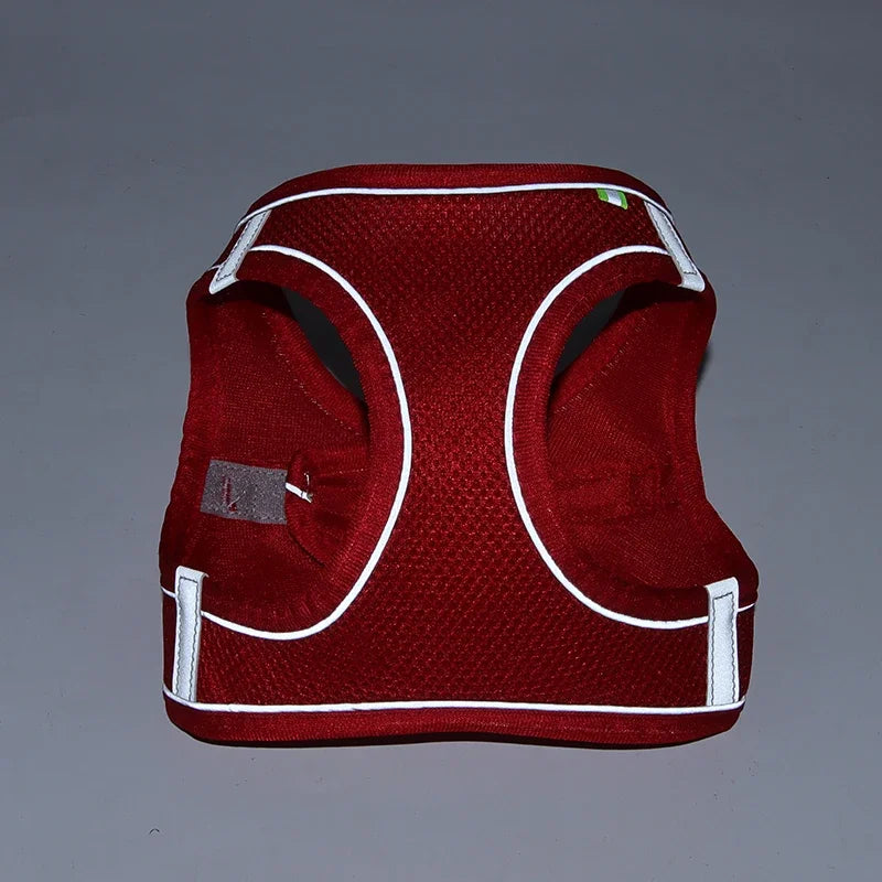 PawFit Harness
PupSafe Harness
TinyPaw Harness
PawComfort
PupSecure