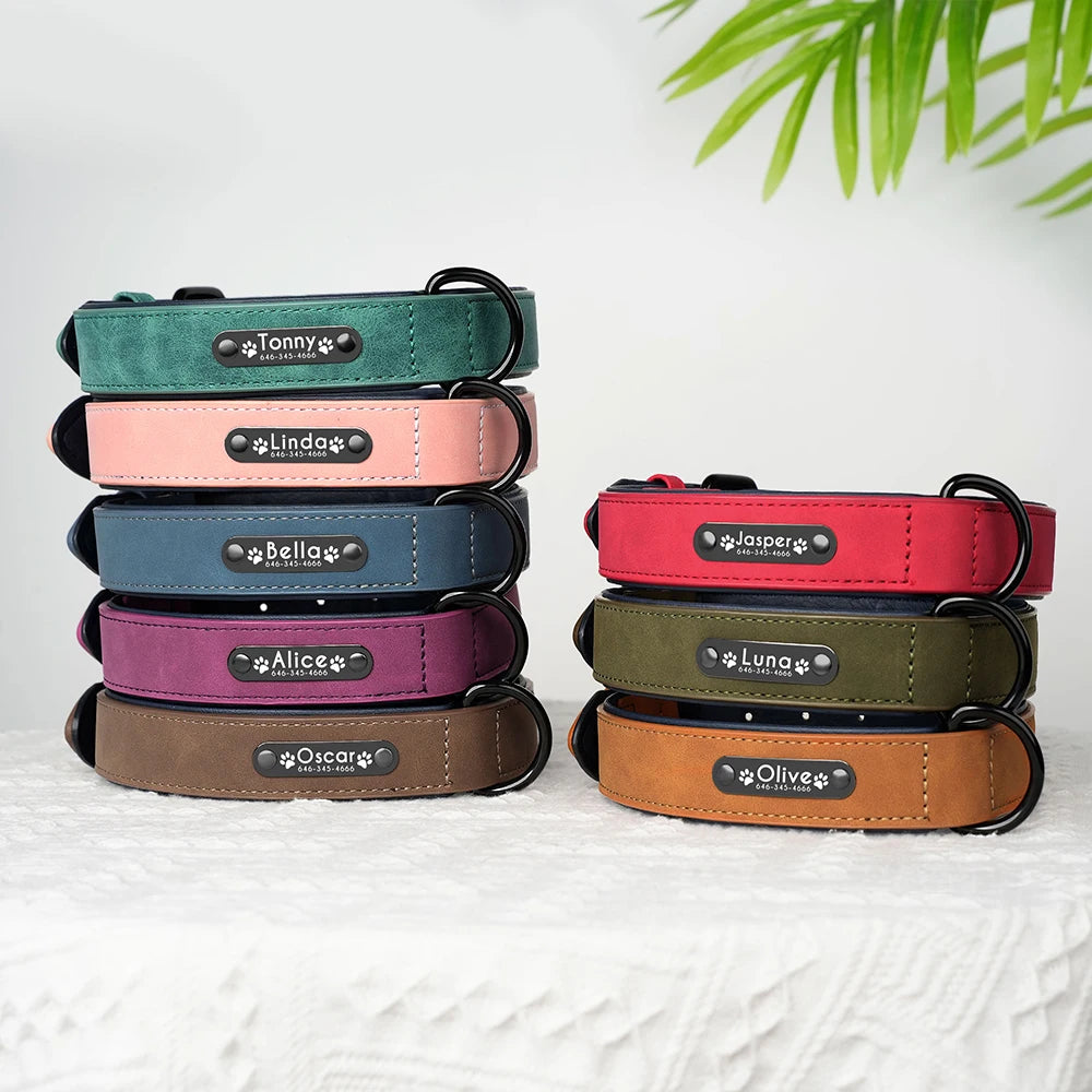 PawLux™ Leather
ElitePaw™ Leather
LuxePaw™
PawCraft™ Leather
FurElegance
