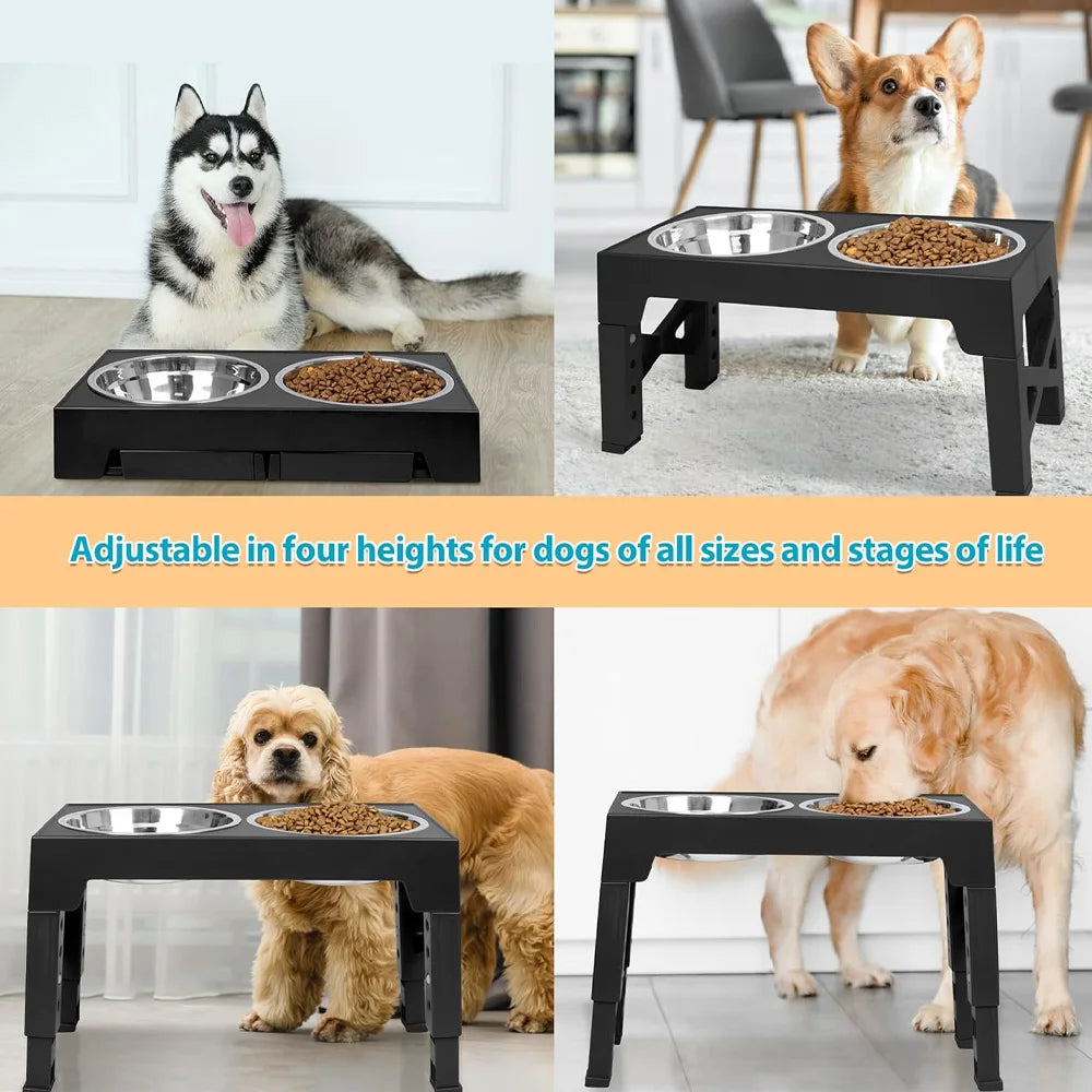 PawLift Stand/ ElevatePaw/ PetRise Bowl Stand/ PawUp Feeder/ LiftedPaws
