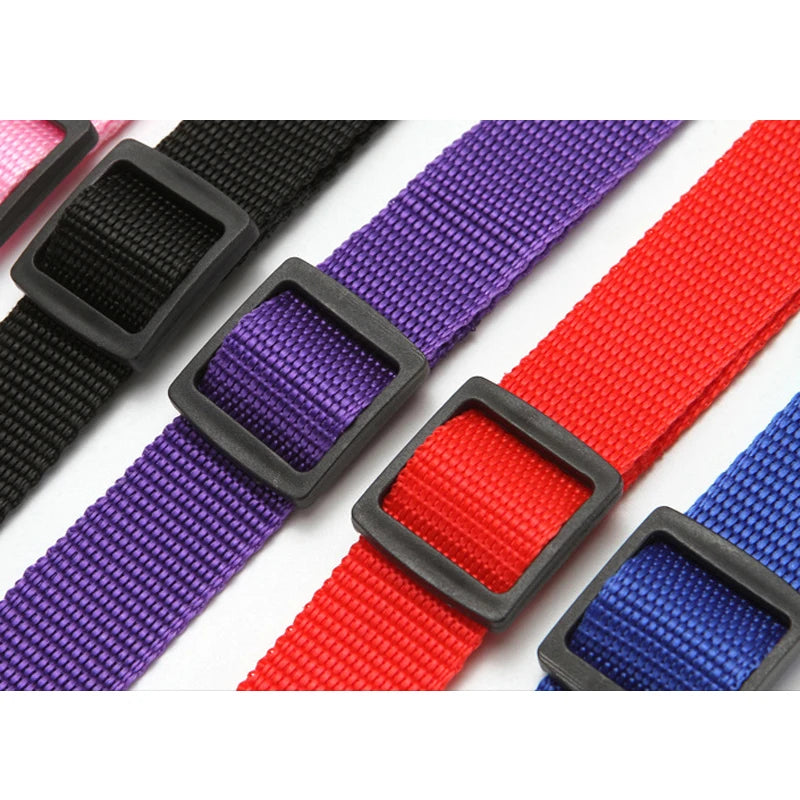 Dual Safe Car Lead Double-Protection Dog Travel Lead