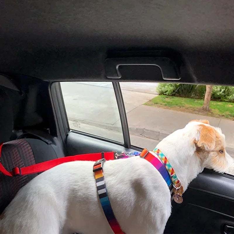 Dual Safe Car Lead Double-Protection Dog Travel Lead