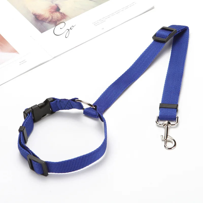 Dual Safe Car Lead Double-Protection Dog Travel Lead