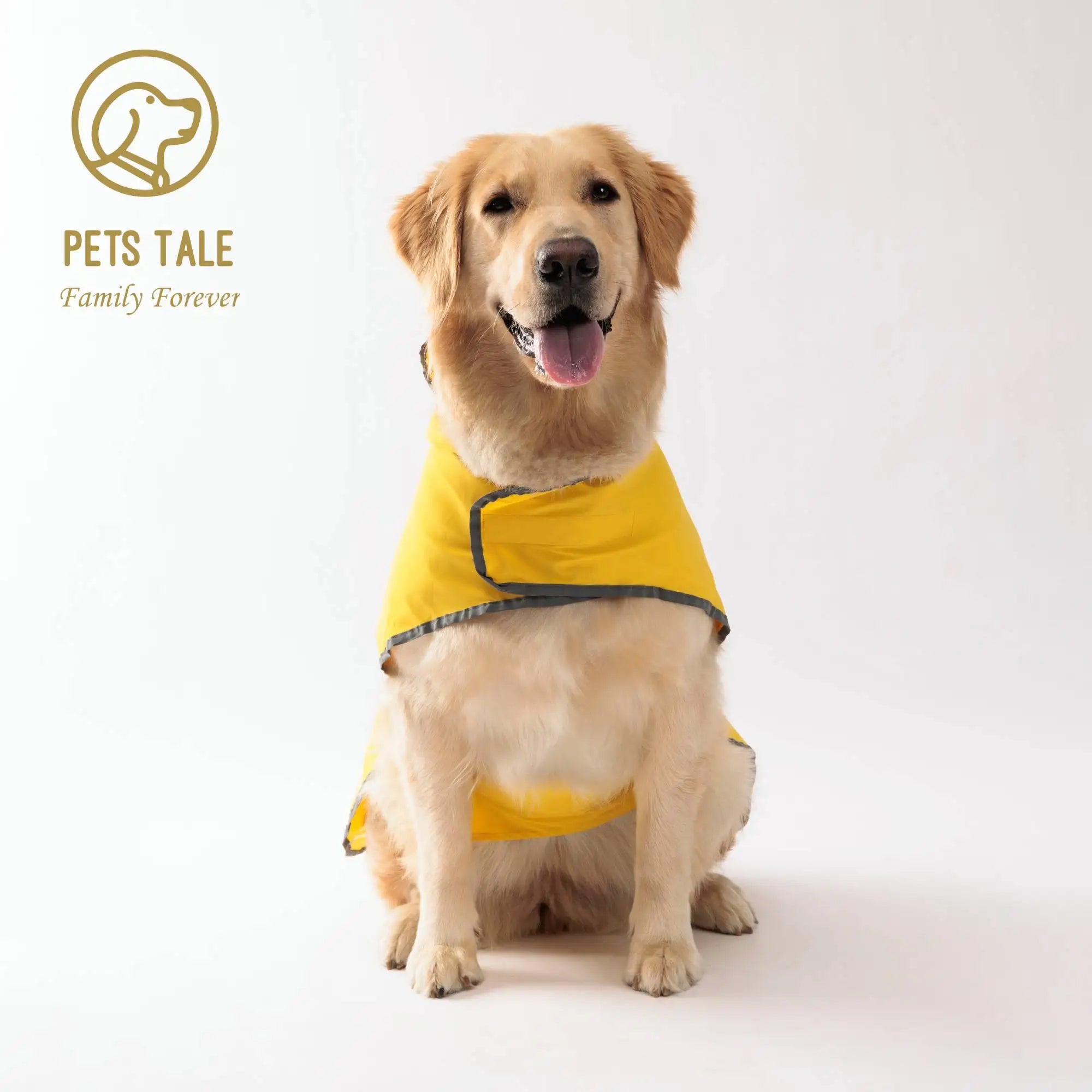 Dry Walk Dog Coat Dog Raincoat