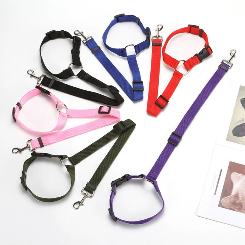 Dual Safe Car Lead Double-Protection Dog Travel Lead
