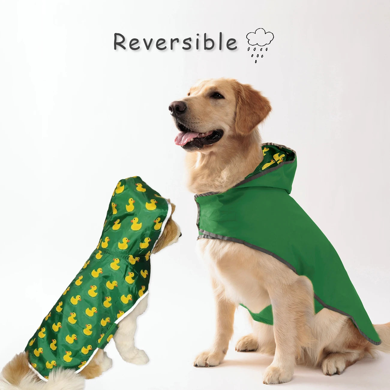 Dry Walk Dog Coat Dog Raincoat