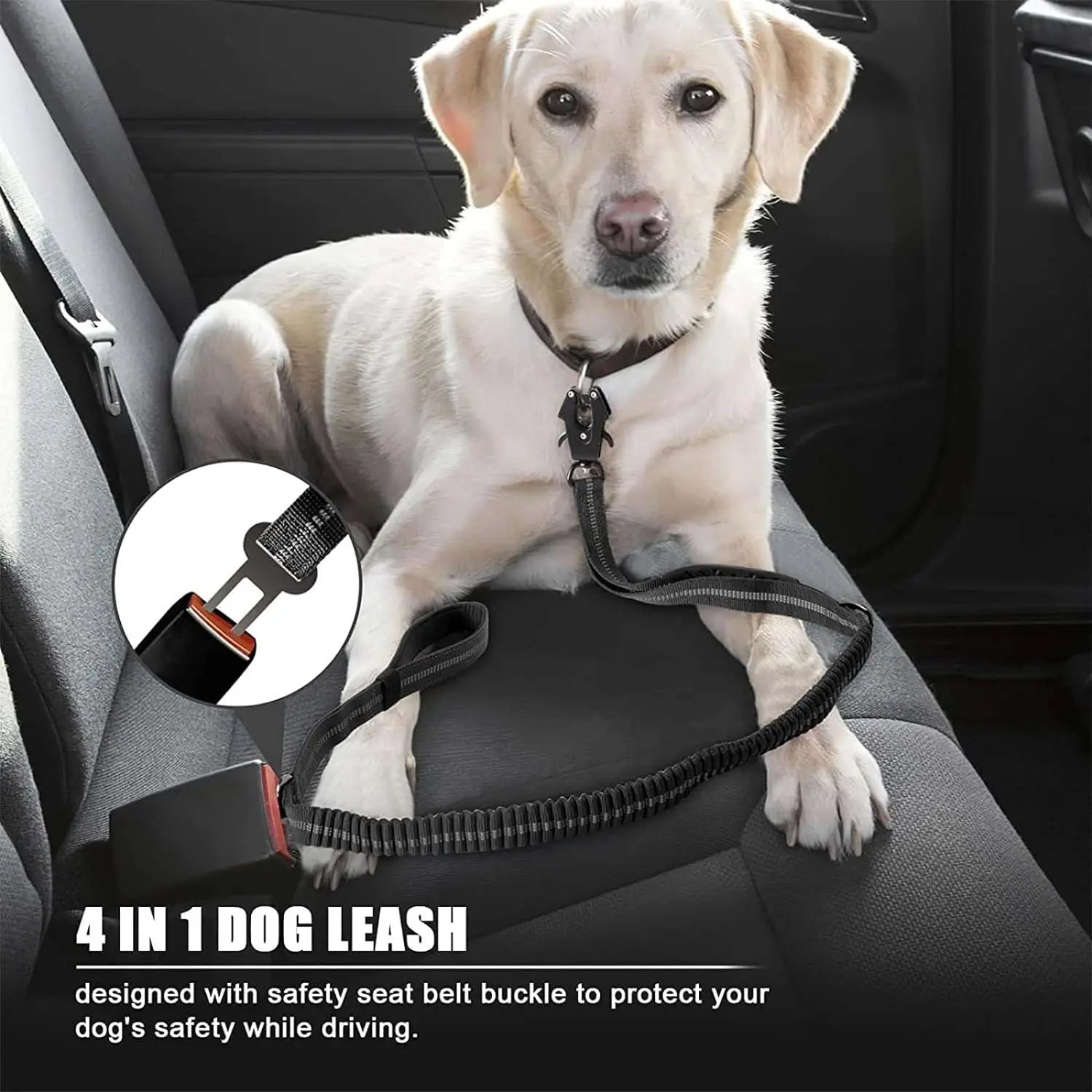 Road Guard Bungee Adjustable Dog Car Safety Leash