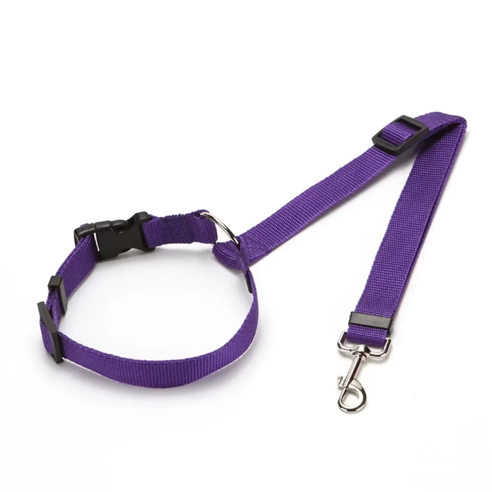 Dual Safe Car Lead Double-Protection Dog Travel Lead