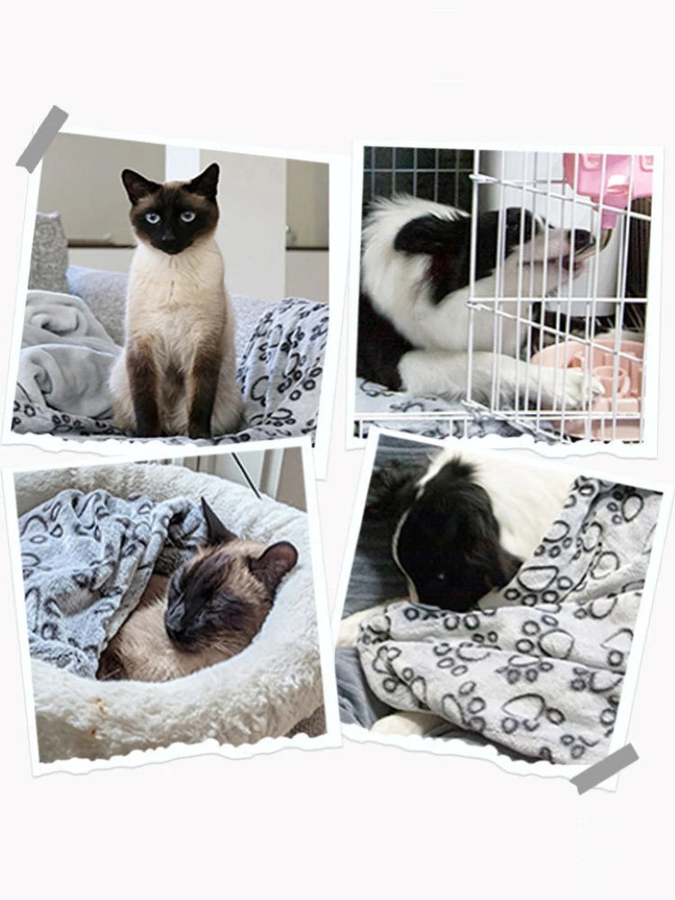 Paw Dreams Blanket Paw Dreams Blanket