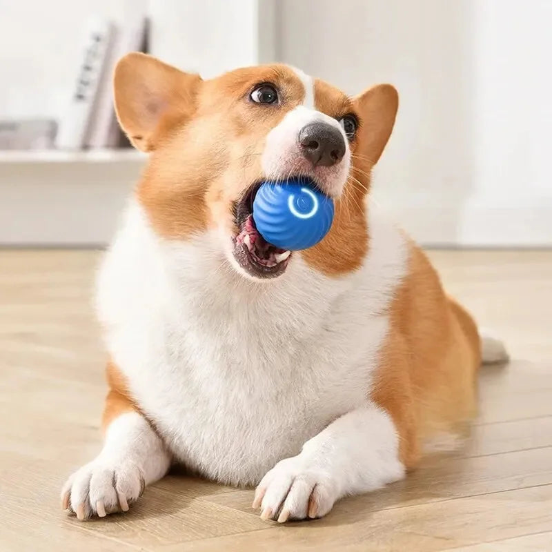 Smart Bounce Toy Interactive Dog Toy for Active Pets