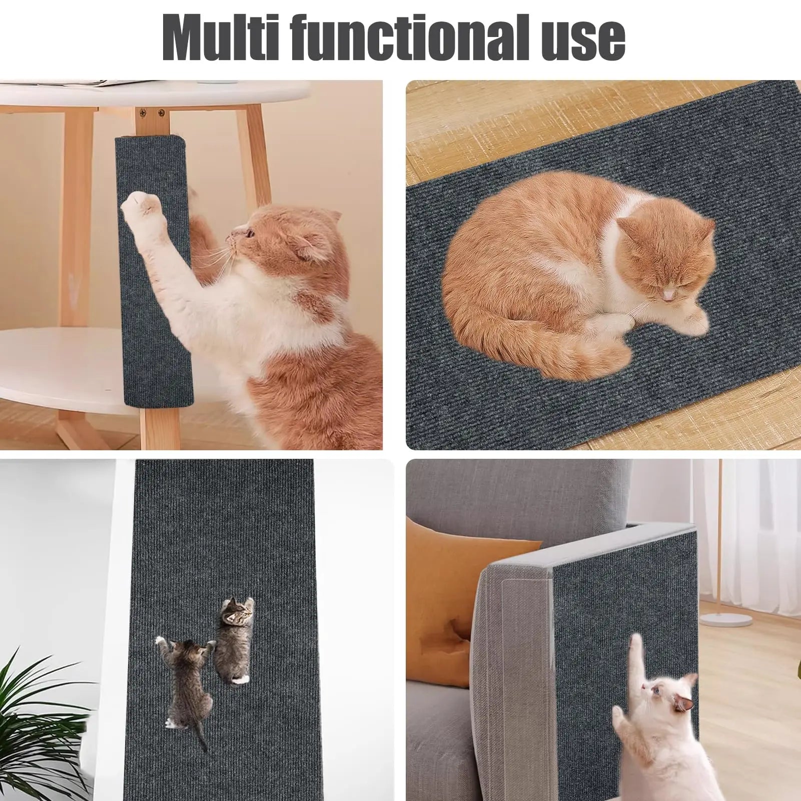 Scratch Shield