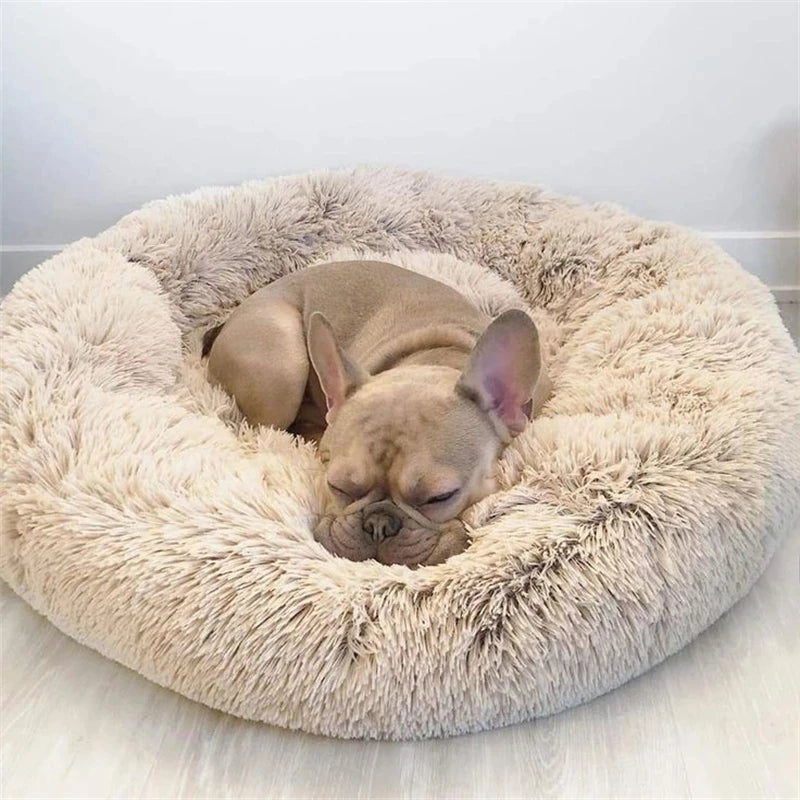 Dream Donut Bed