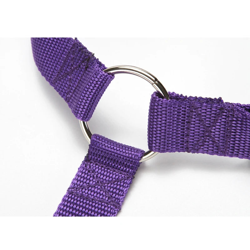 Dual Safe Car Lead Double-Protection Dog Travel Lead