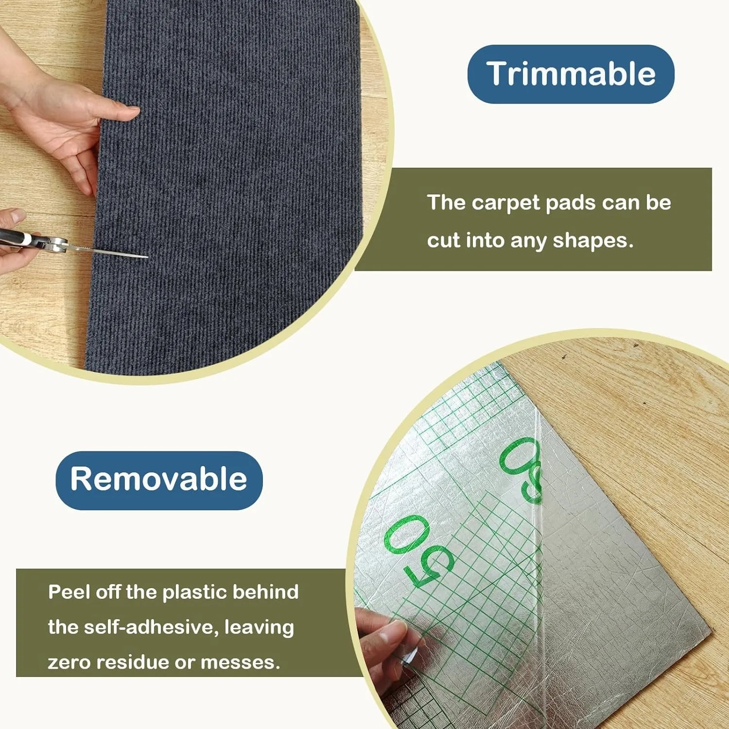 Scratch Shield