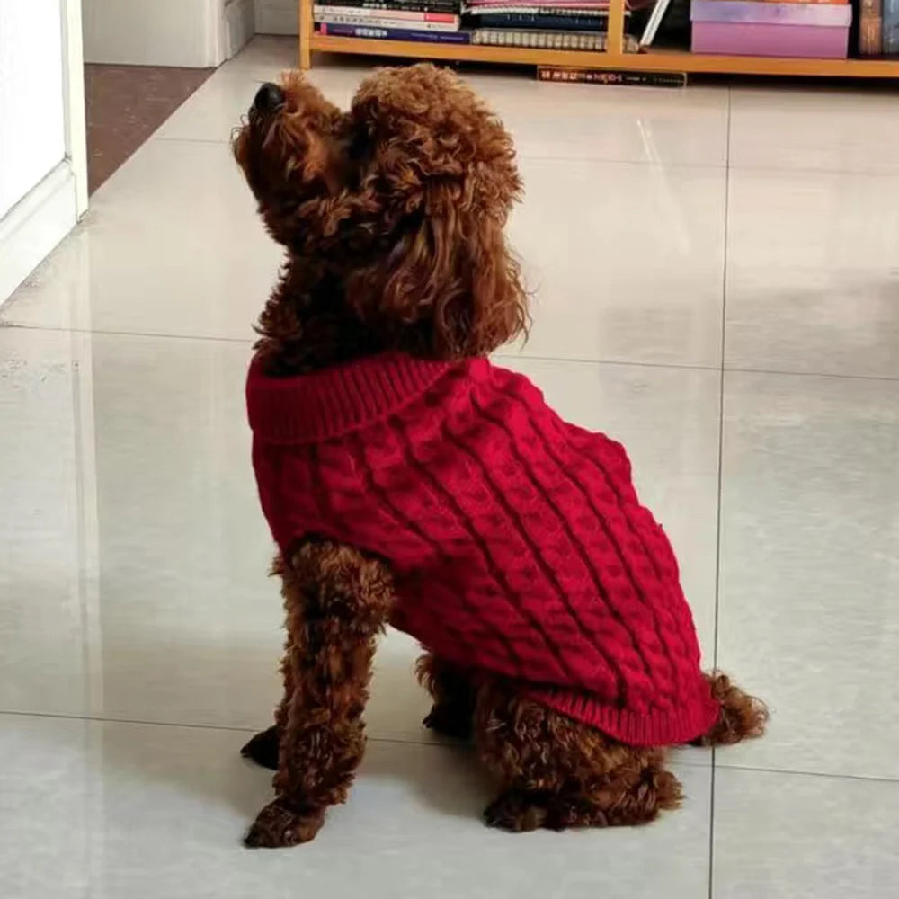 ChiSnug/PawChi Pullover/ ChiCozy/ SnuggleChi/ ChiWarm