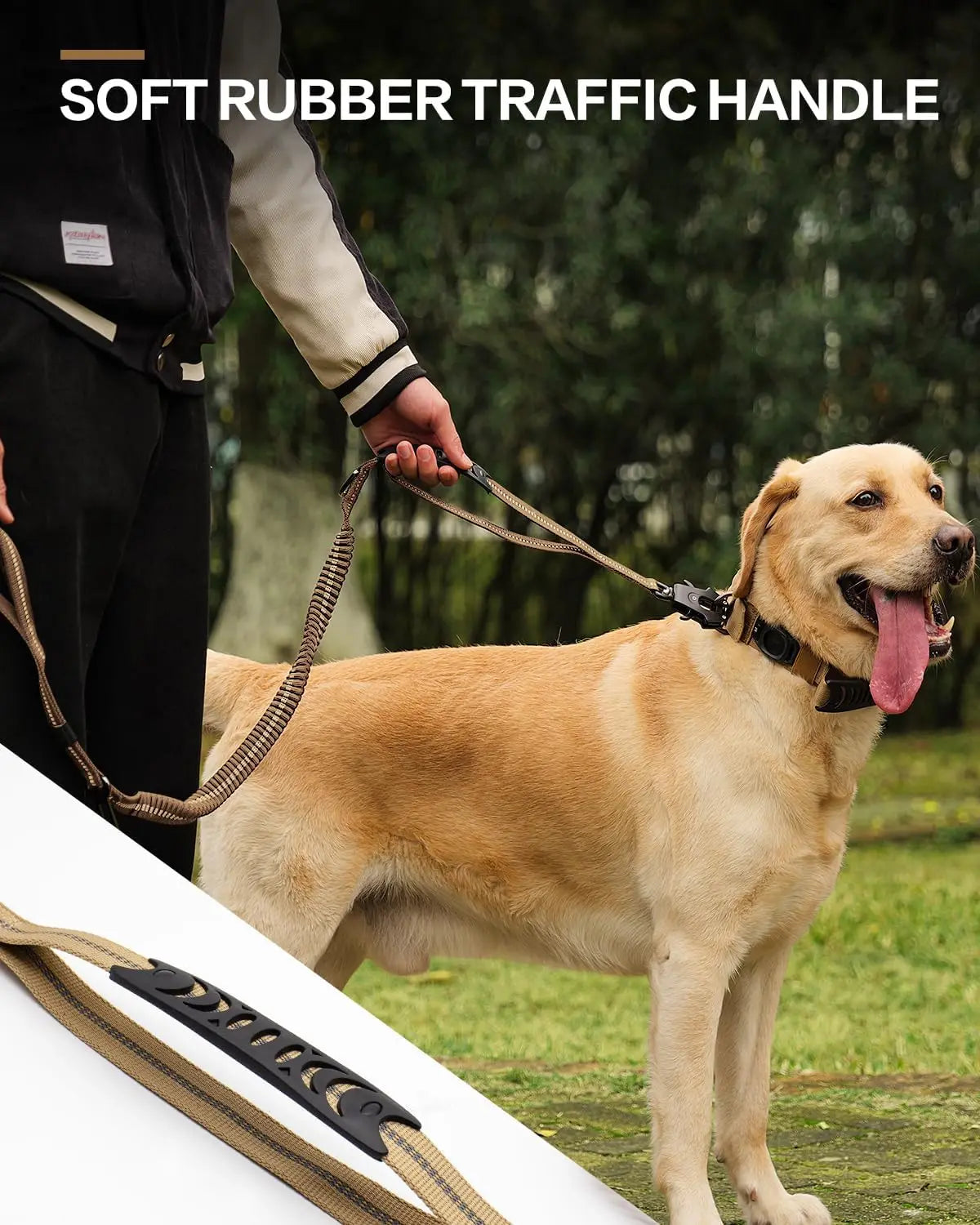 Road Guard Bungee Adjustable Dog Car Safety Leash