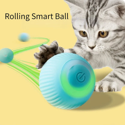 PawZoom/ FetchPro Ball/ TurboToss/ PawSpin/ ZoomPup/ PowerPaw Ball/ ActivePaws