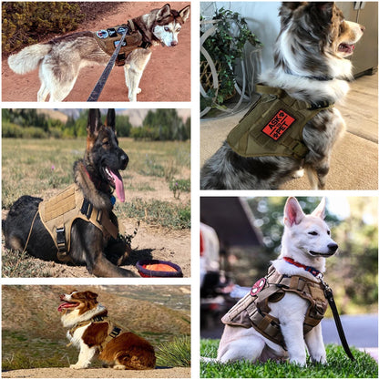 TactiPaw™ Harness

BattlePaw™ Harness

RuggedPaw™

ArmorPaw™ Harness

MissionPaw™