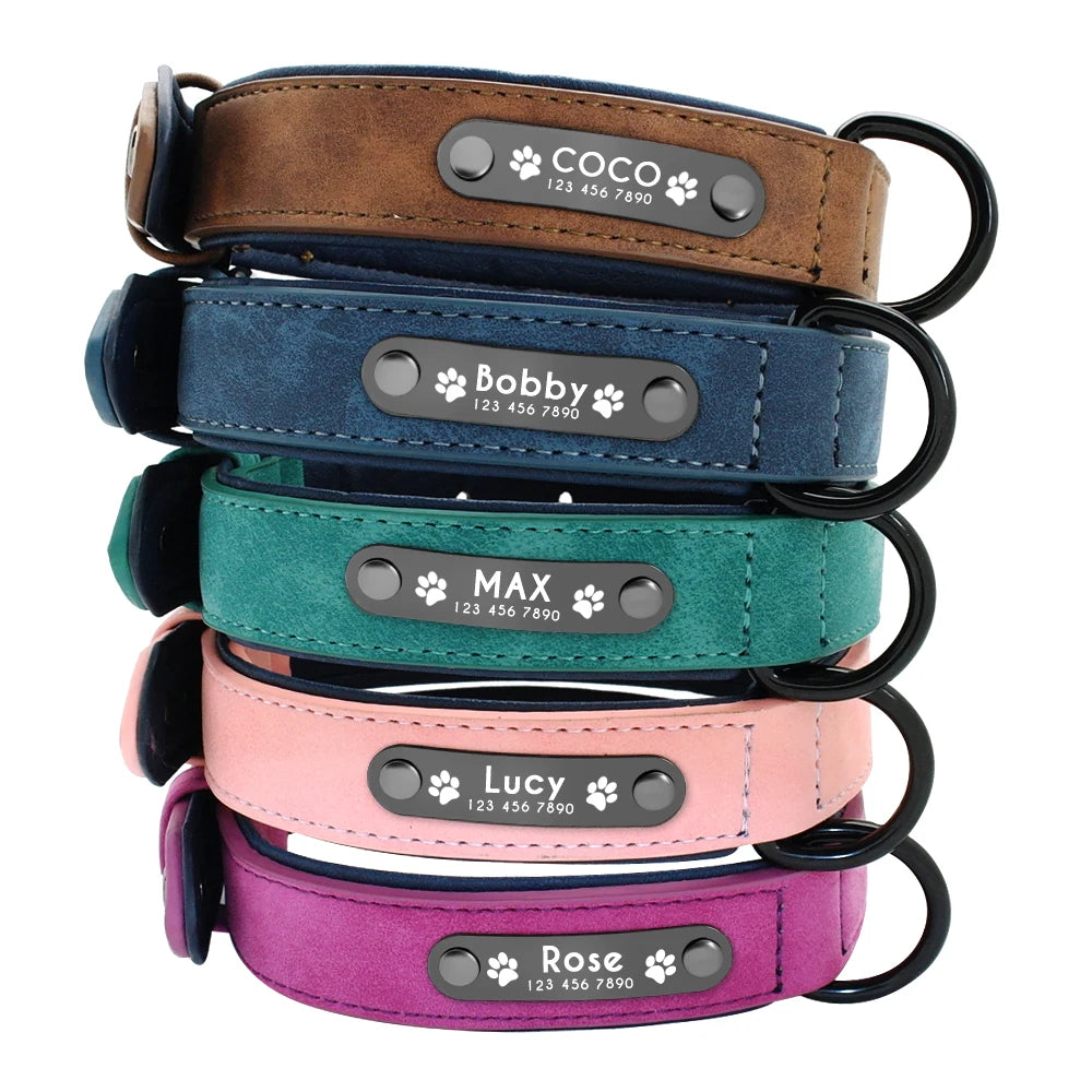 PawLux™ Leather

ElitePaw™ Leather

LuxePaw™

PawCraft™ Leather

FurElegance