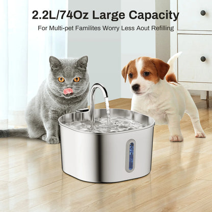 AquaPaw
HydraFlow
FreshSip
PawQuench
ClearSip
PurePaw Waterer
HydroHaven
CrystalFlow