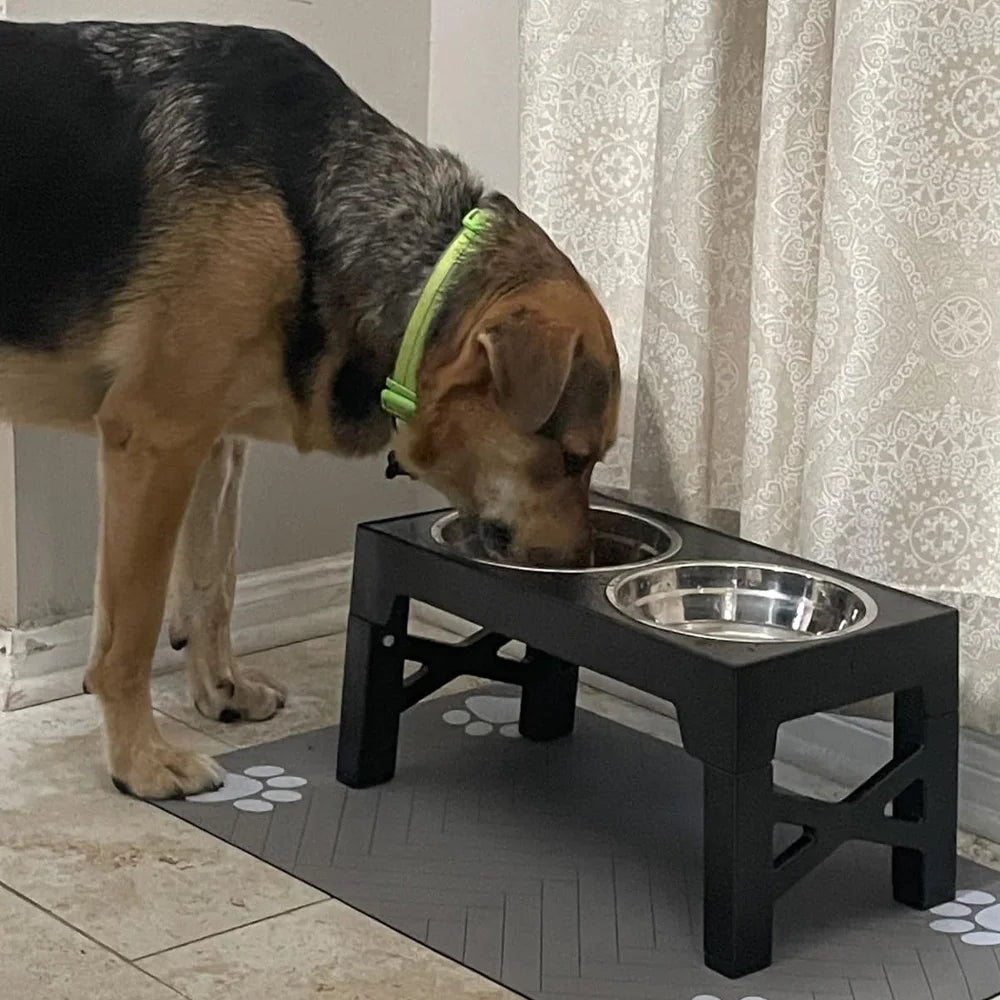 PawLift Stand/ ElevatePaw/ PetRise Bowl Stand/ PawUp Feeder/ LiftedPaws