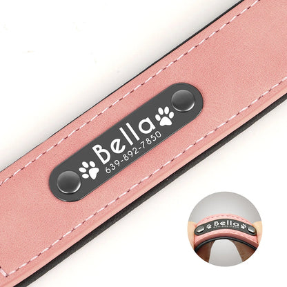 PawLux™ Leather

ElitePaw™ Leather

LuxePaw™

PawCraft™ Leather

FurElegance