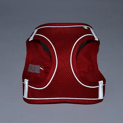 PawFit Harness
PupSafe Harness
TinyPaw Harness
PawComfort
PupSecure