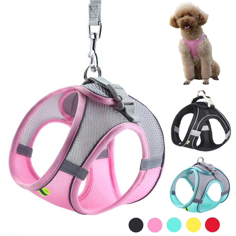 PawFit Harness
PupSafe Harness
TinyPaw Harness
PawComfort
PupSecure