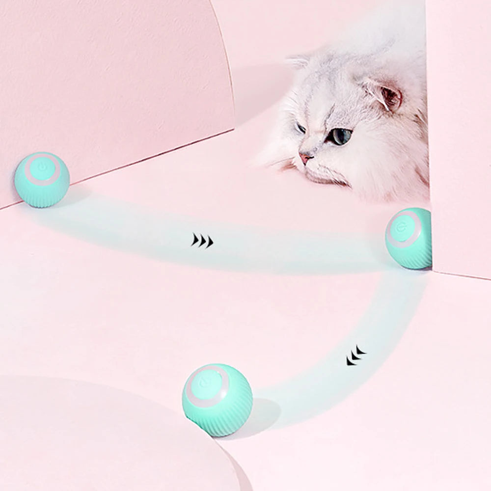 PawZoom/ FetchPro Ball/ TurboToss/ PawSpin/ ZoomPup/ PowerPaw Ball/ ActivePaws