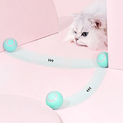 PawZoom/ FetchPro Ball/ TurboToss/ PawSpin/ ZoomPup/ PowerPaw Ball/ ActivePaws