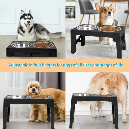 PawLift Stand/ ElevatePaw/ PetRise Bowl Stand/ PawUp Feeder/ LiftedPaws