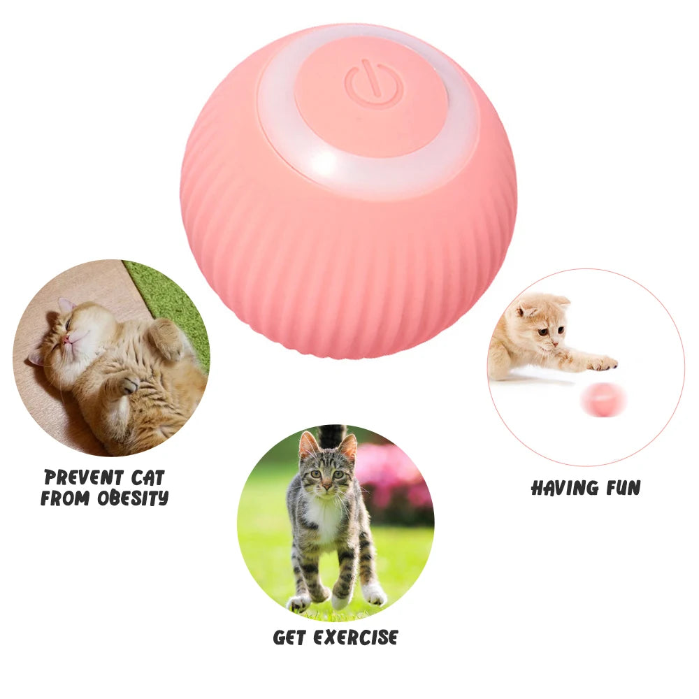 PawZoom/ FetchPro Ball/ TurboToss/ PawSpin/ ZoomPup/ PowerPaw Ball/ ActivePaws