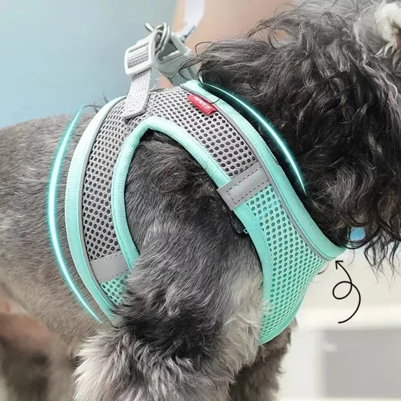 PawFit Harness
PupSafe Harness
TinyPaw Harness
PawComfort
PupSecure