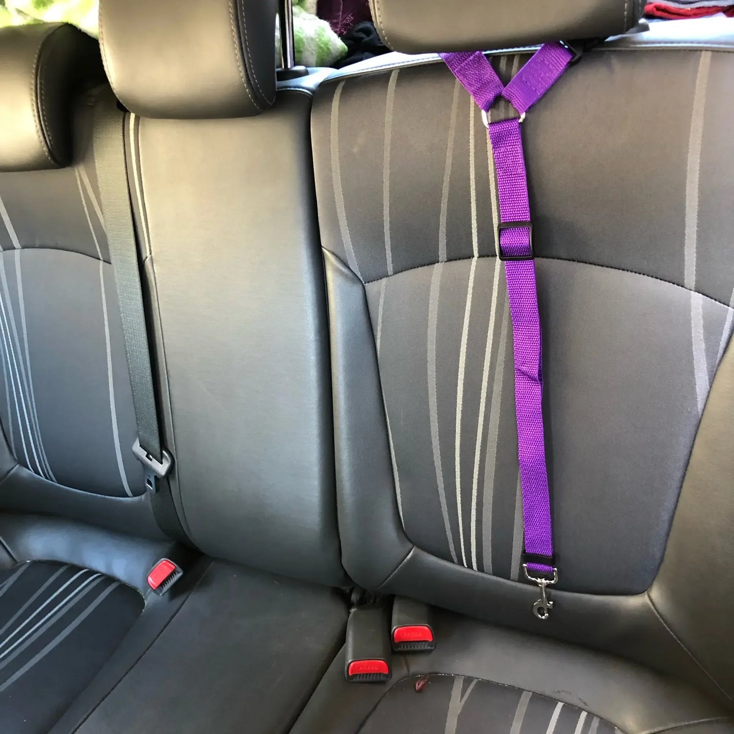 Dual Safe Car Lead Double-Protection Dog Travel Lead
