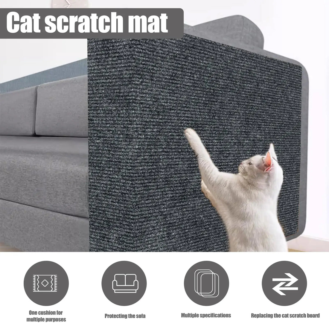 Scratch Shield