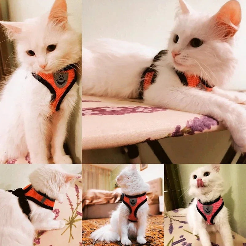 Kitty Pup Harness Adjustable Harness for Cats & Small Dogs