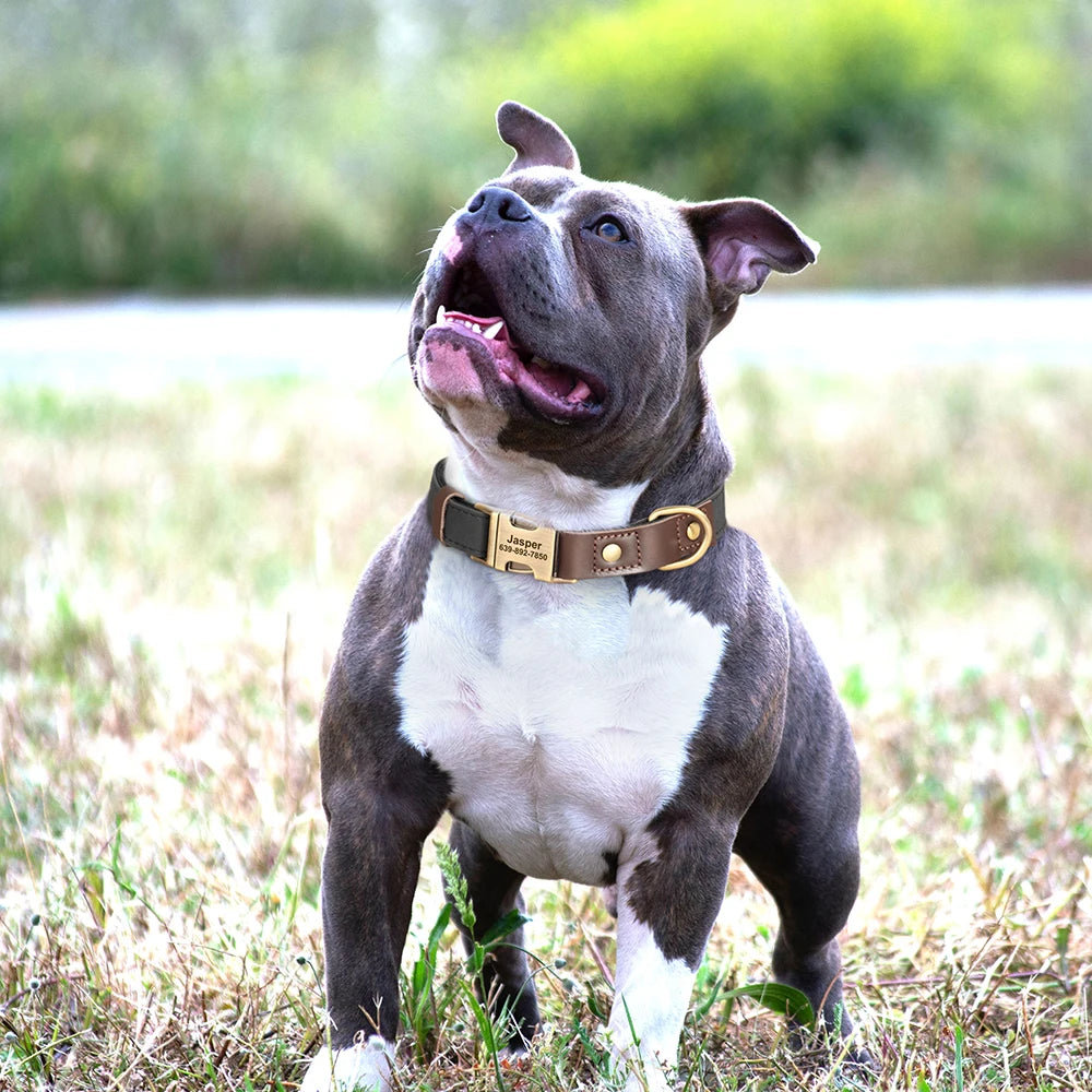 ID Paw Leather Personalized Leather Pet ID Tag