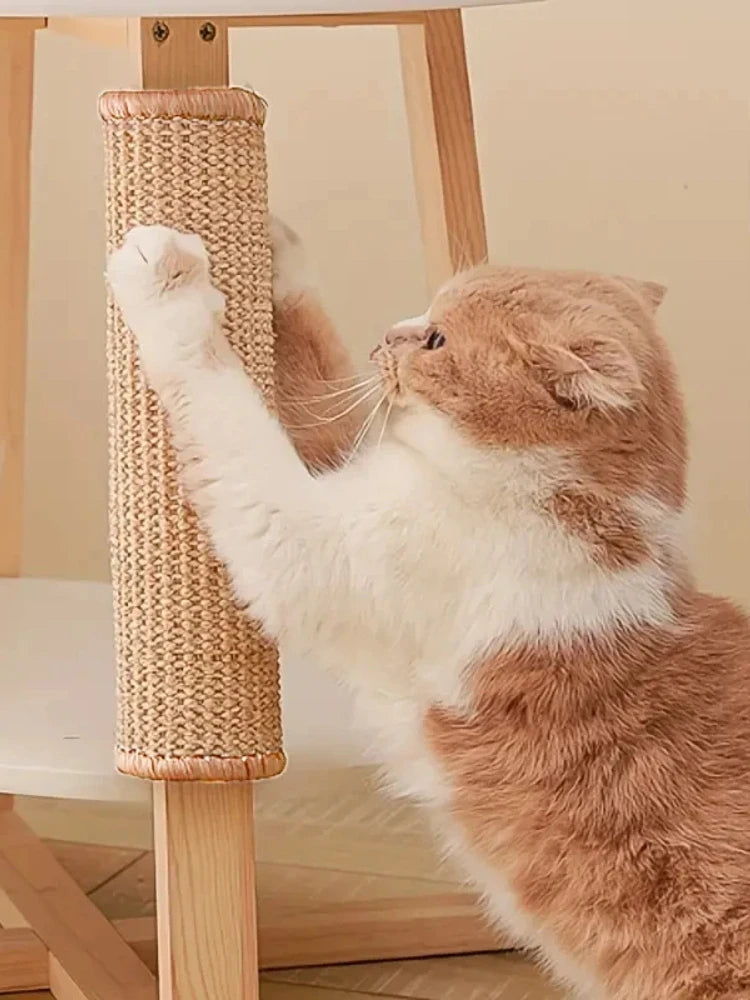 Scratch Rug Scratch Rug Scratch Rug