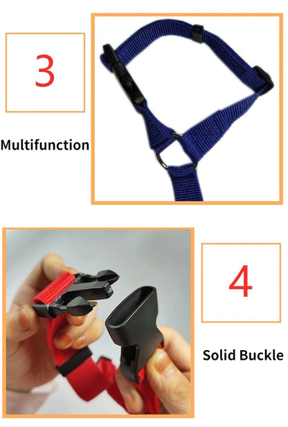 Dual Safe Car Lead Double-Protection Dog Travel Lead