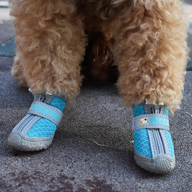 Paw Trek Boots Protective Waterproof Dog Boots