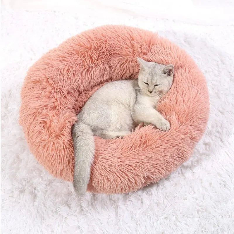 Dream Donut Bed