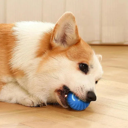Smart Bounce Toy Interactive Dog Toy for Active Pets