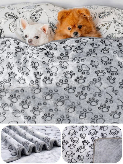 Paw Dreams Blanket Paw Dreams Blanket 