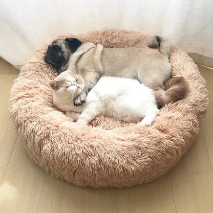 Dream Donut Bed