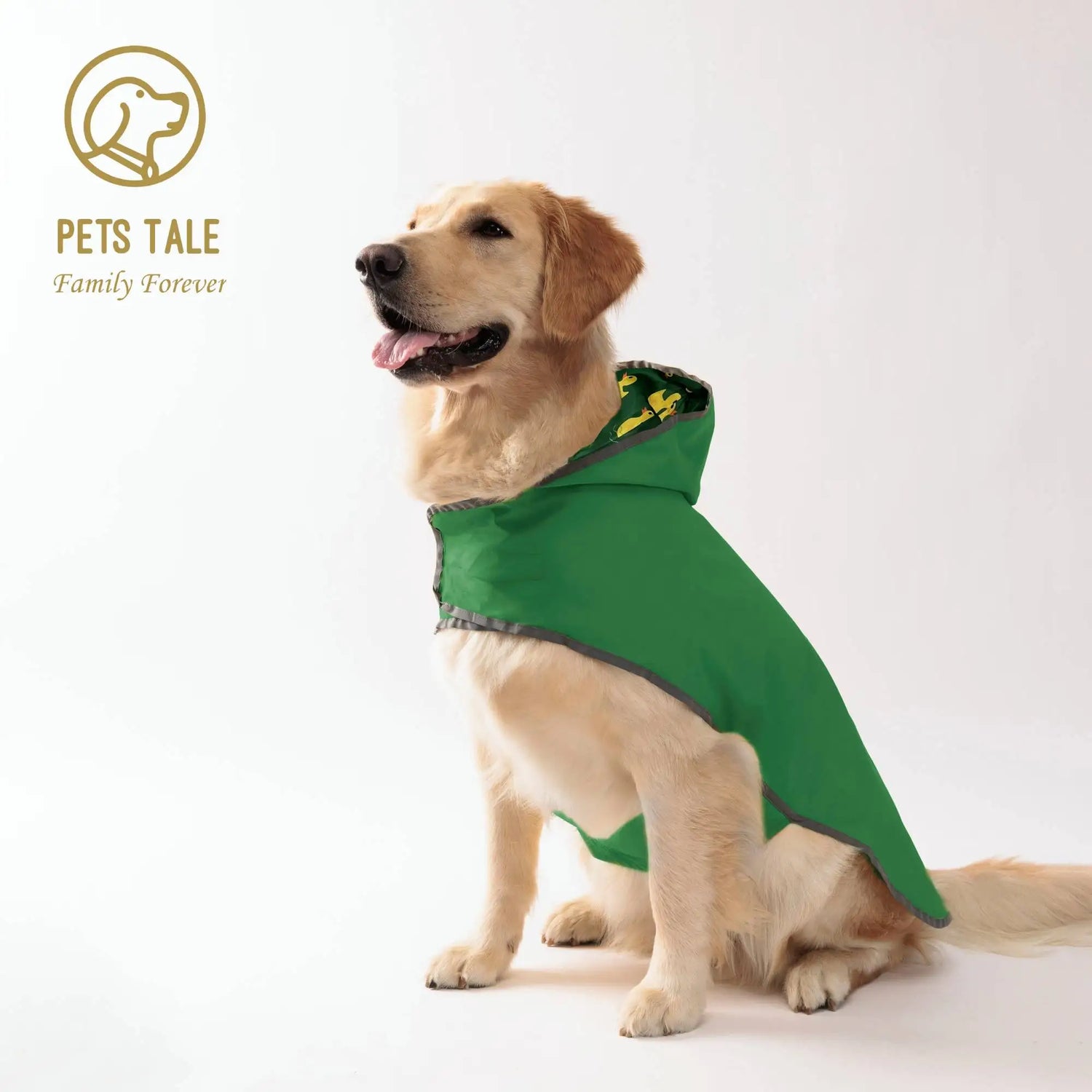 Dry Walk Dog Coat Dog Raincoat