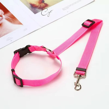Dual Safe Car Lead Double-Protection Dog Travel Lead