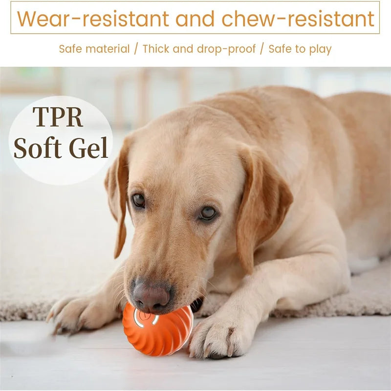 Smart Bounce Toy Interactive Dog Toy for Active Pets