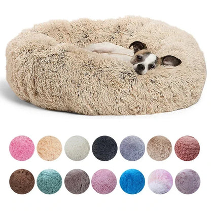 Dream Donut Bed