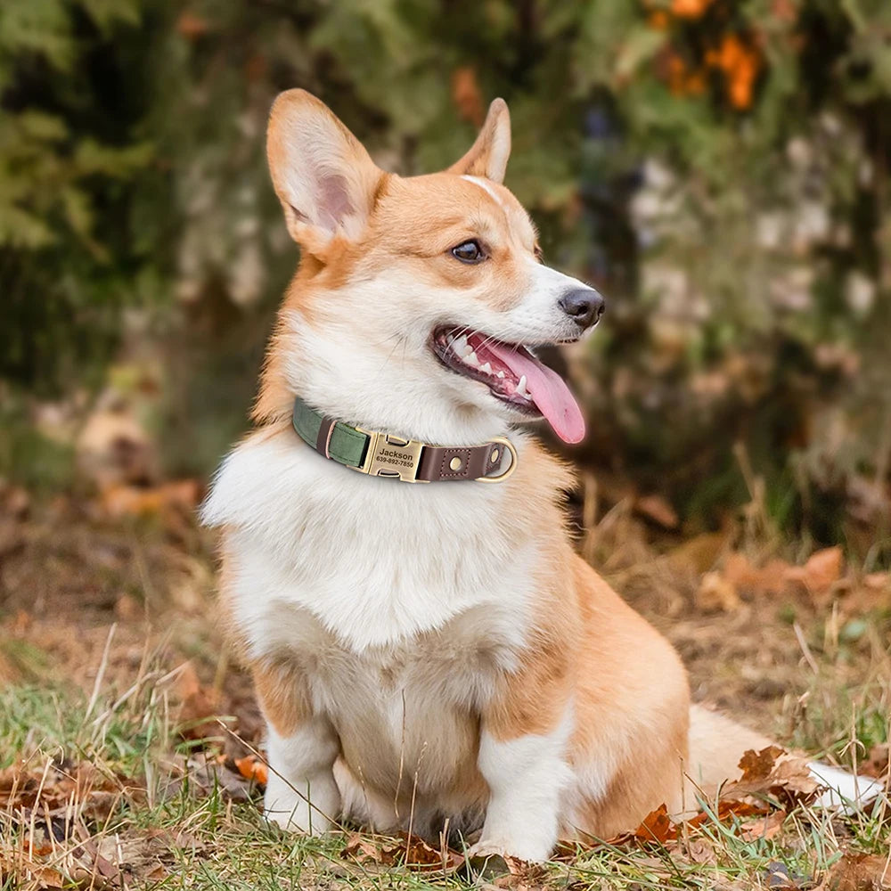 ID Paw Leather Personalized Leather Pet ID Tag