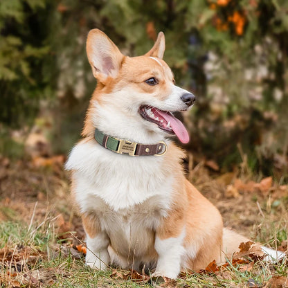 ID Paw Leather Personalized Leather Pet ID Tag